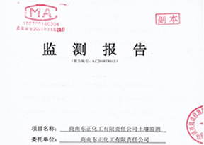 陕西省商南县东正化工有限责任公司土壤监测报告