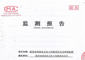 陕西省商南县东正化工有限责任公司环境监测报告