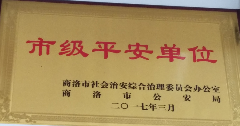 市级平安单位