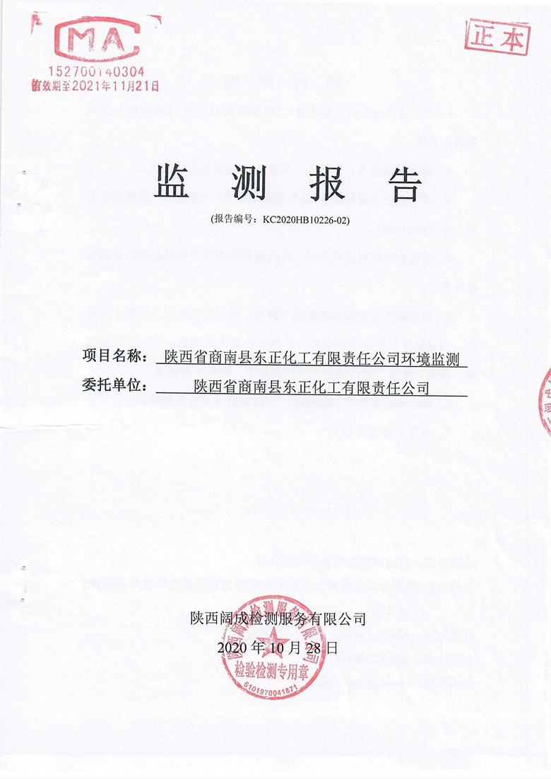 监测报告