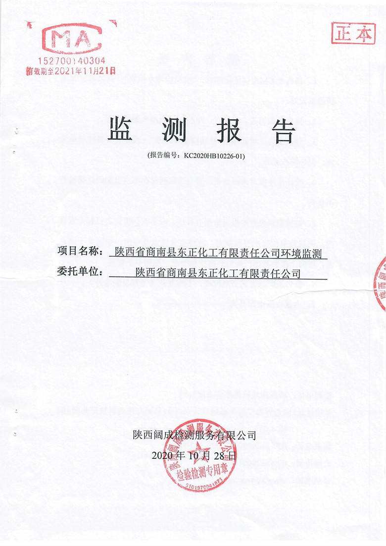监测报告