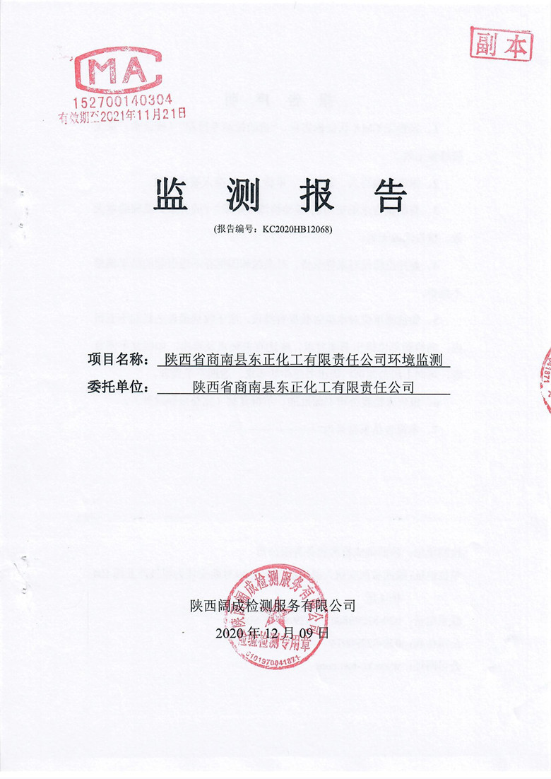 监测报告