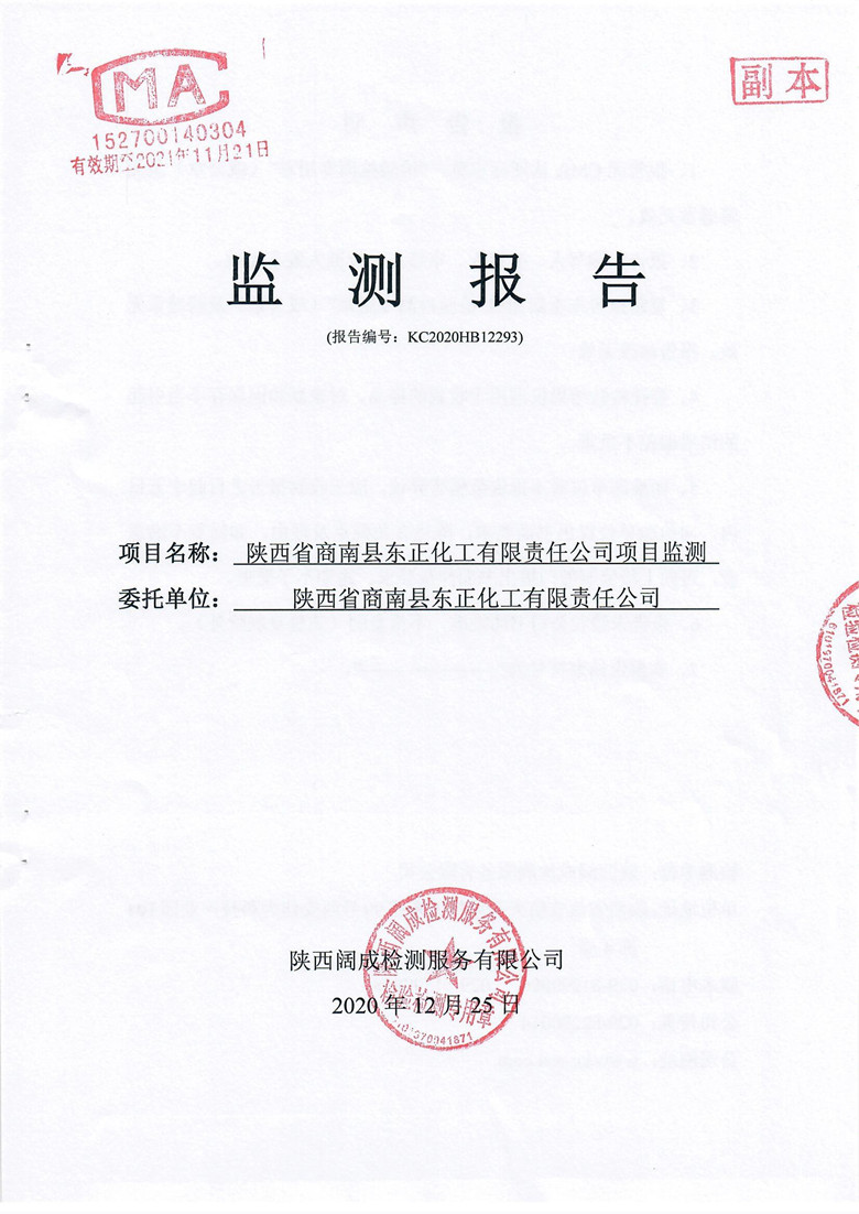 监测报告