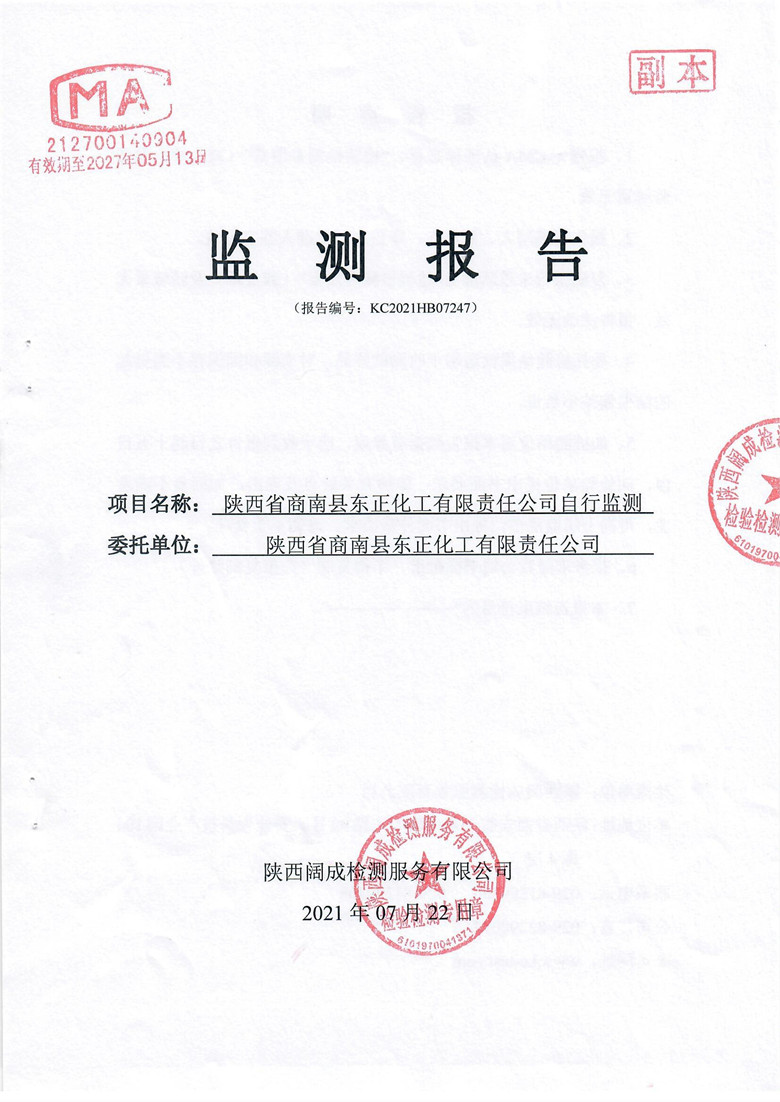 监测报告