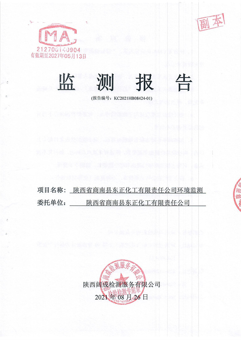 监测报告