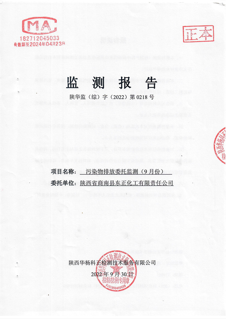 监测报告