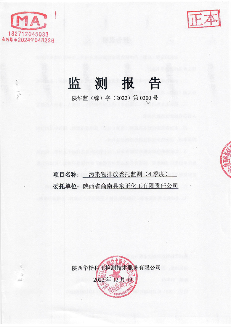 监测报告