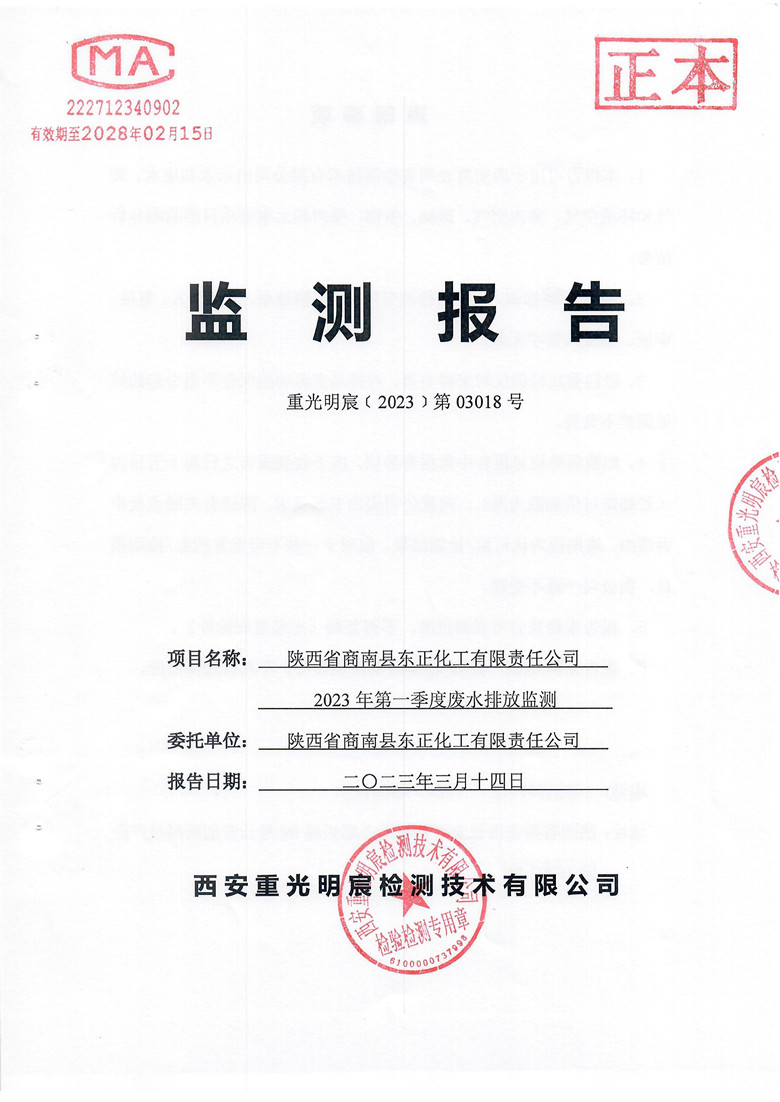 监测报告