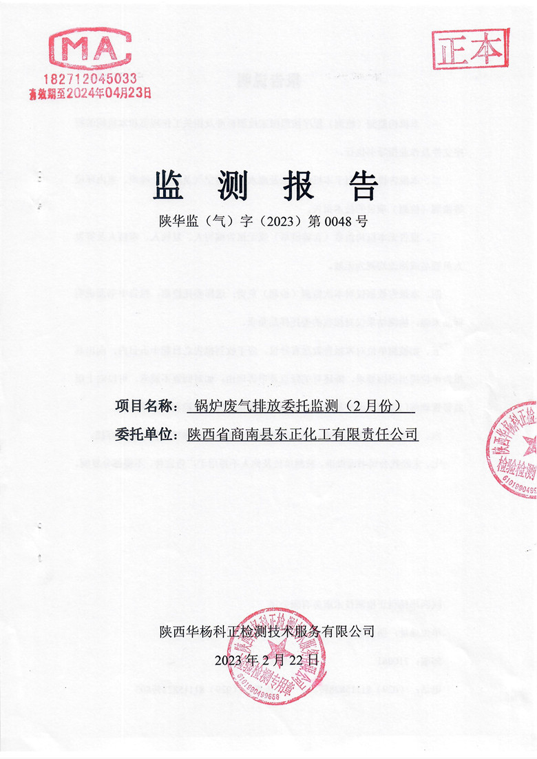监测报告