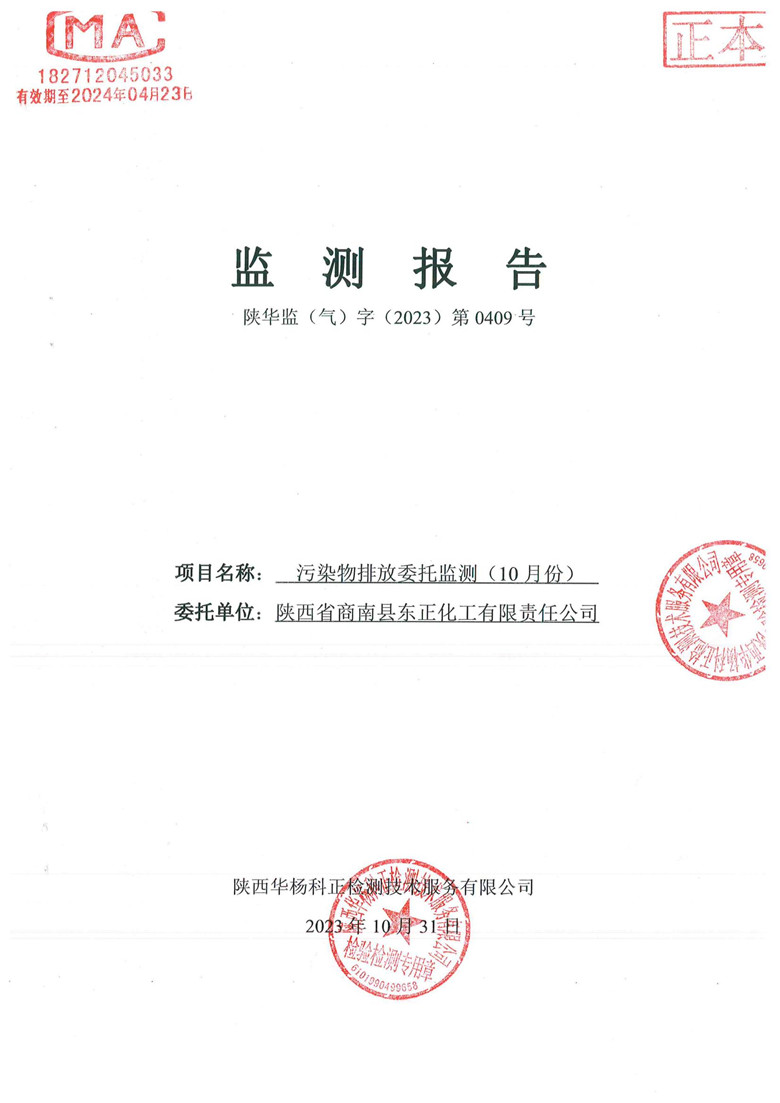 监测报告