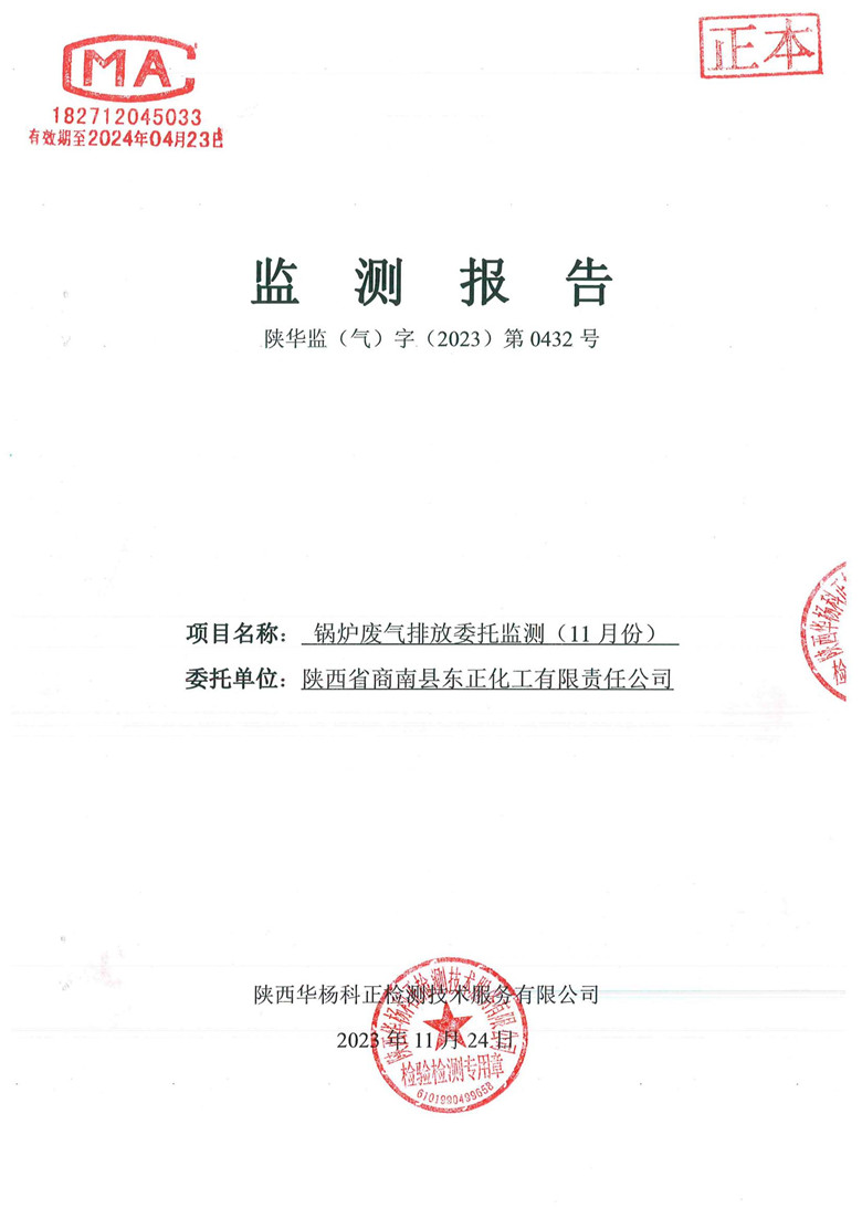 监测报告