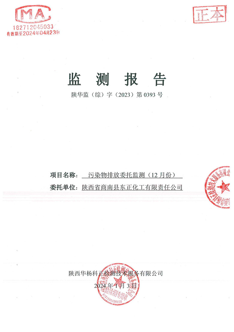 监测报告