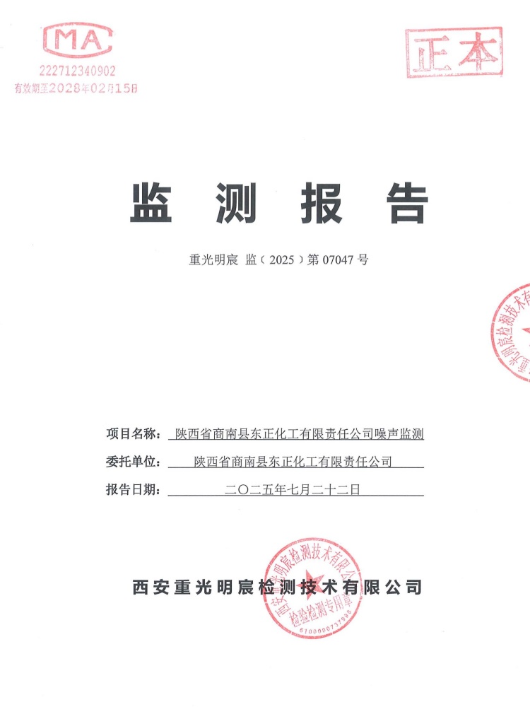 监测报告