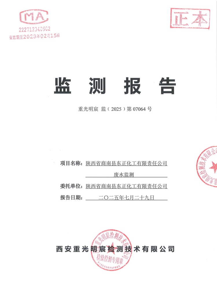 监测报告
