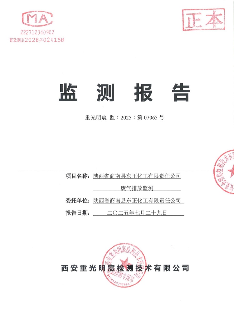 监测报告